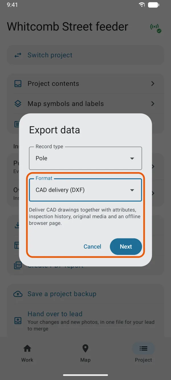 CAD delivery (DXF) chosen, with Next.