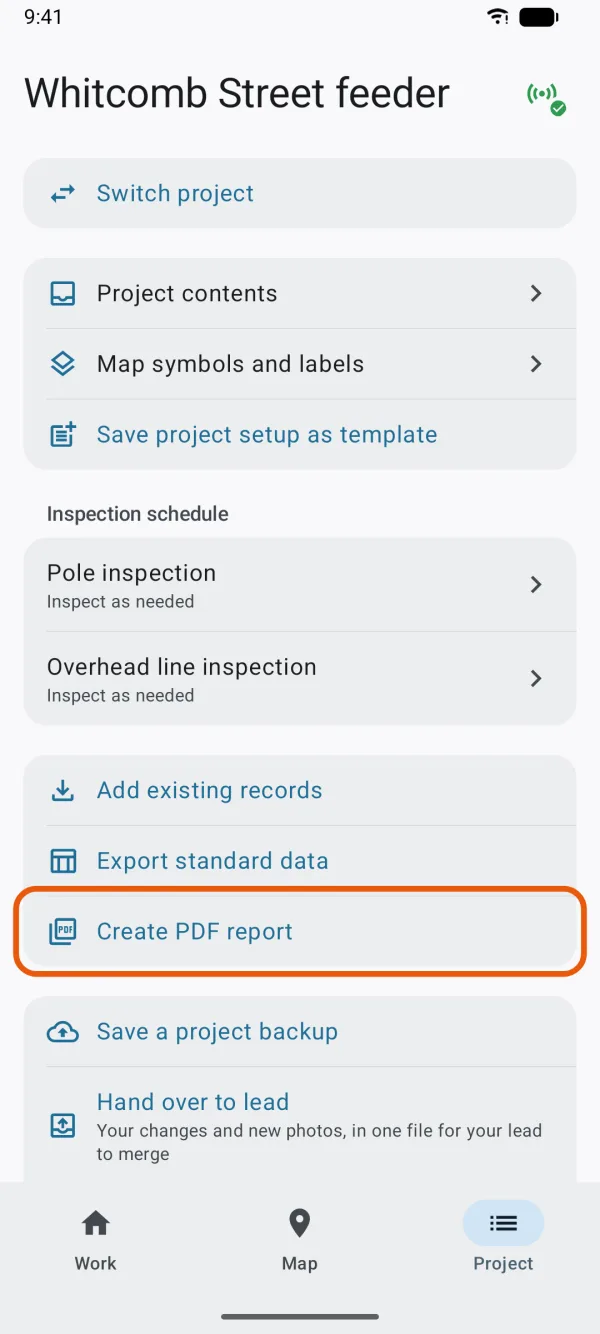 The Project tab, with Create PDF report marked.