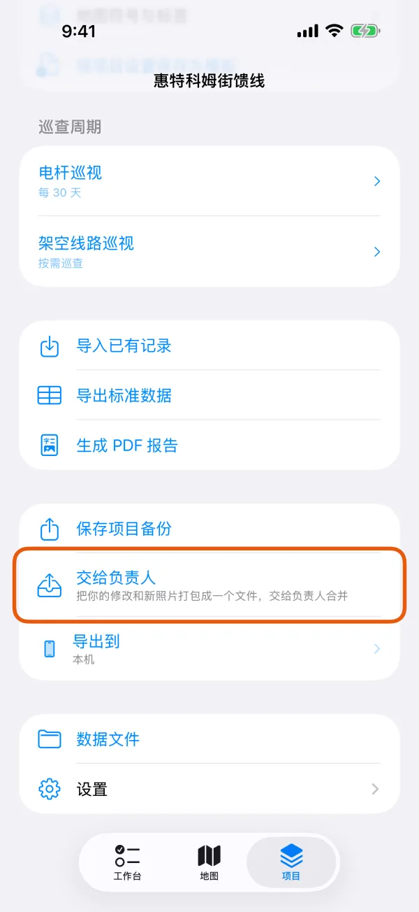 “项目”标签页,标出了“交给负责人”。