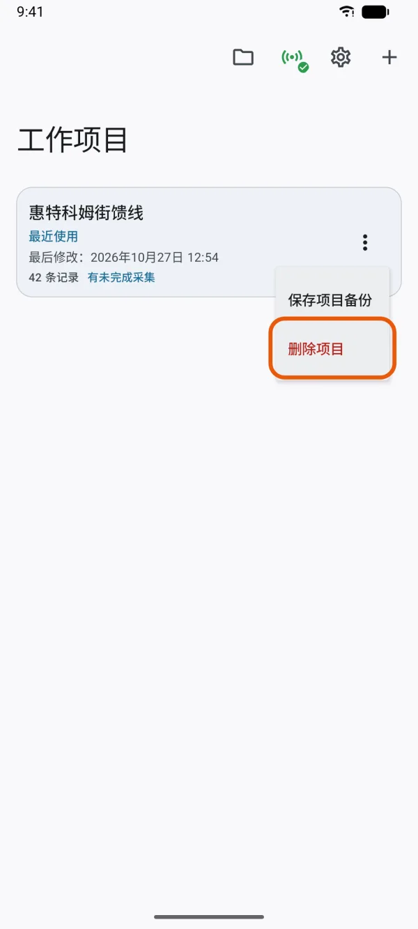 “工作项目”页,项目菜单中显示“删除项目”。