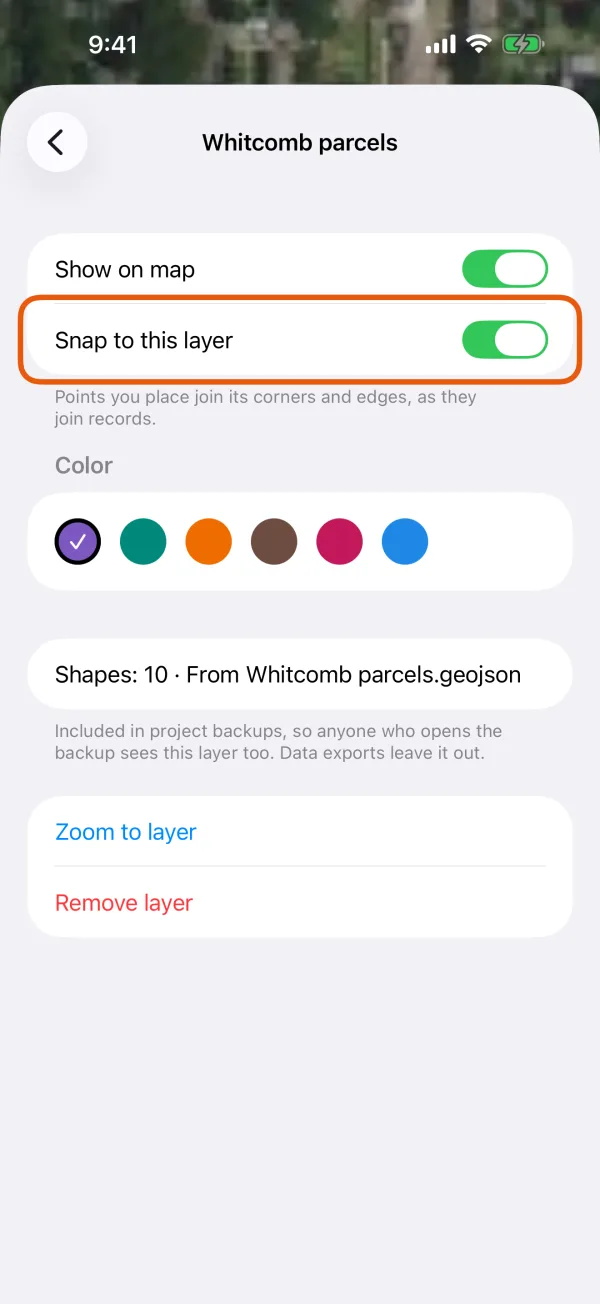 Show on map, Snap to this layer, Color, and the layer's details.