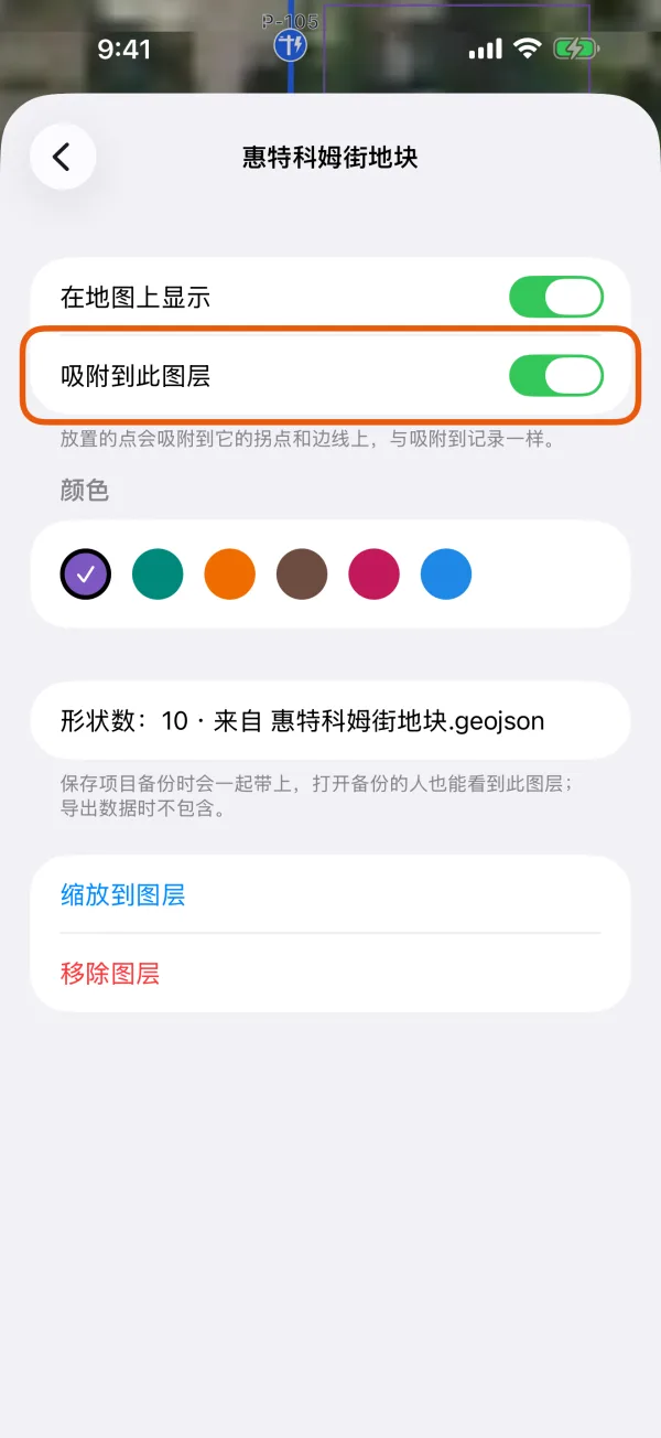 “在地图上显示”、“吸附到此图层”、“颜色”和图层信息。