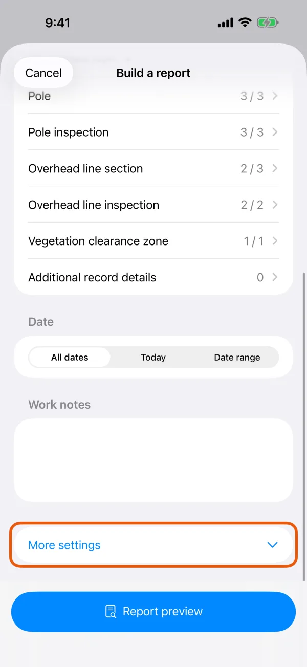 Paper size, limits, Include and Report appearance.