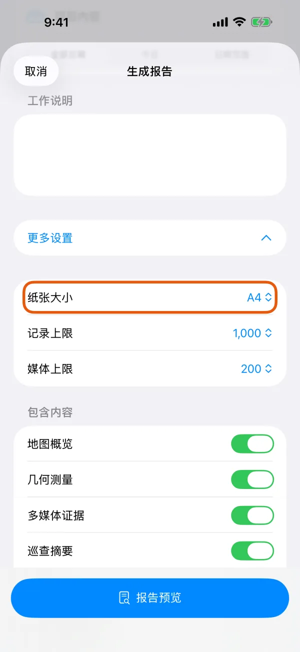 纸张大小、记录上限和媒体上限。