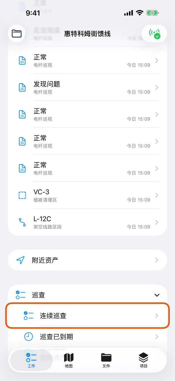 “工作”页上的“巡查”分组。